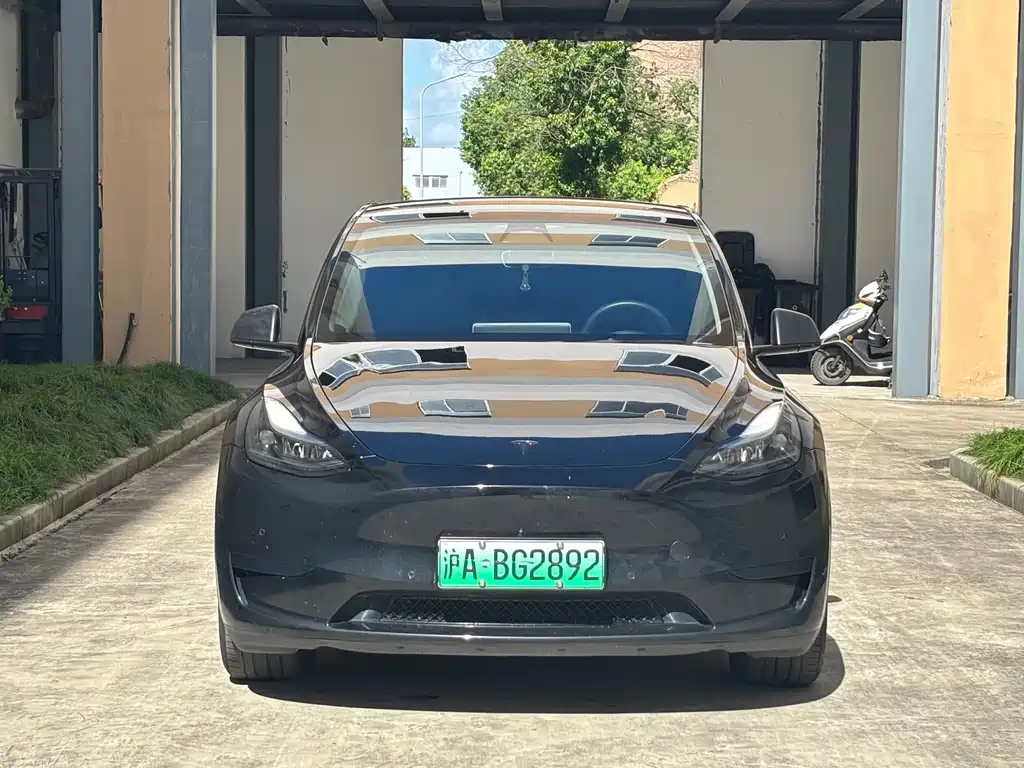 Tesla Model Y — миниатюра 2