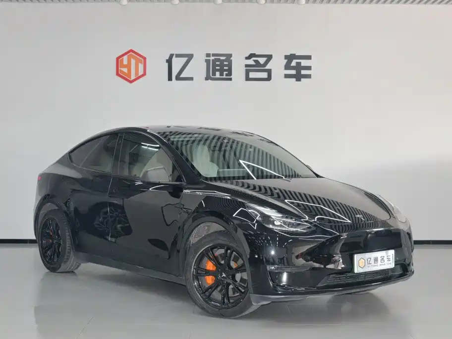 Tesla Model Y — миниатюра 3