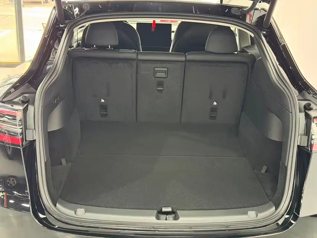 Tesla Model Y — миниатюра 18
