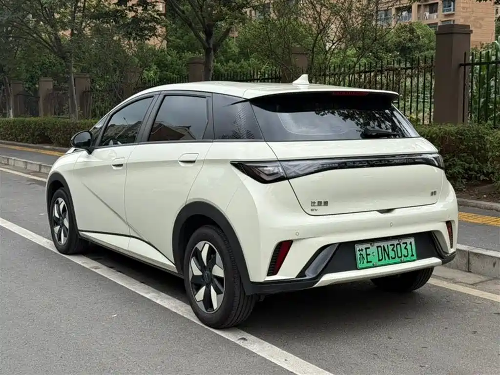 BYD Dolphin 2025 420km Freedom