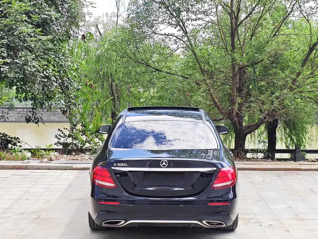 Mercedes-Benz E-Class E 2018 E 300 L Sport Luxury