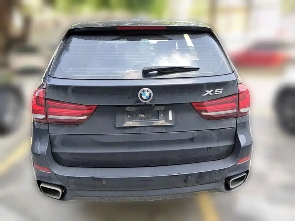 BMW X5 (Import) — миниатюра 8