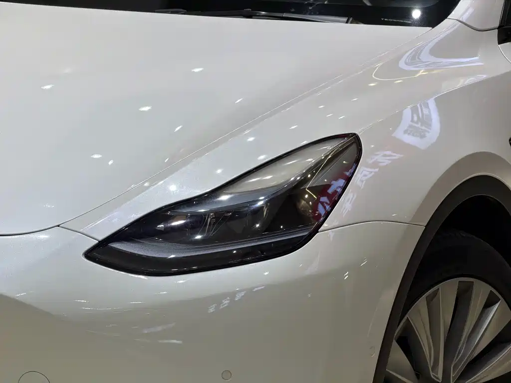 Tesla Model Y — миниатюра 3