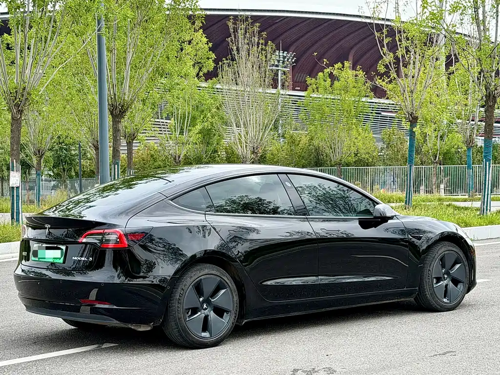 Tesla Model 3 — миниатюра 4