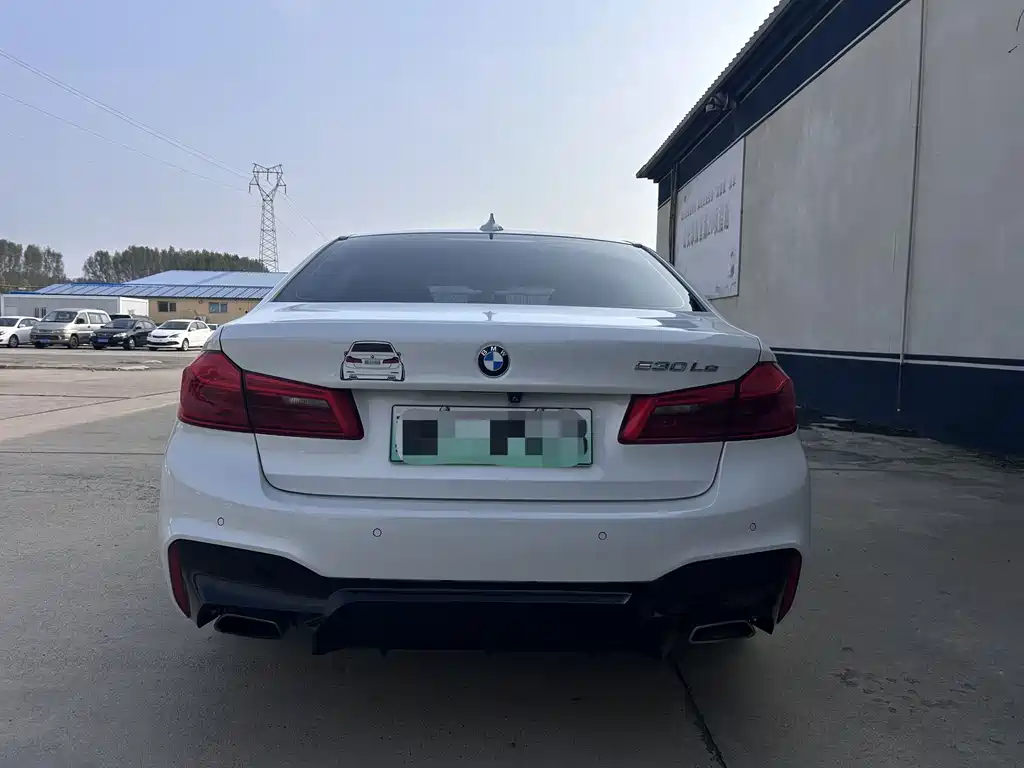 BMW 5 Series New Energy — миниатюра 5