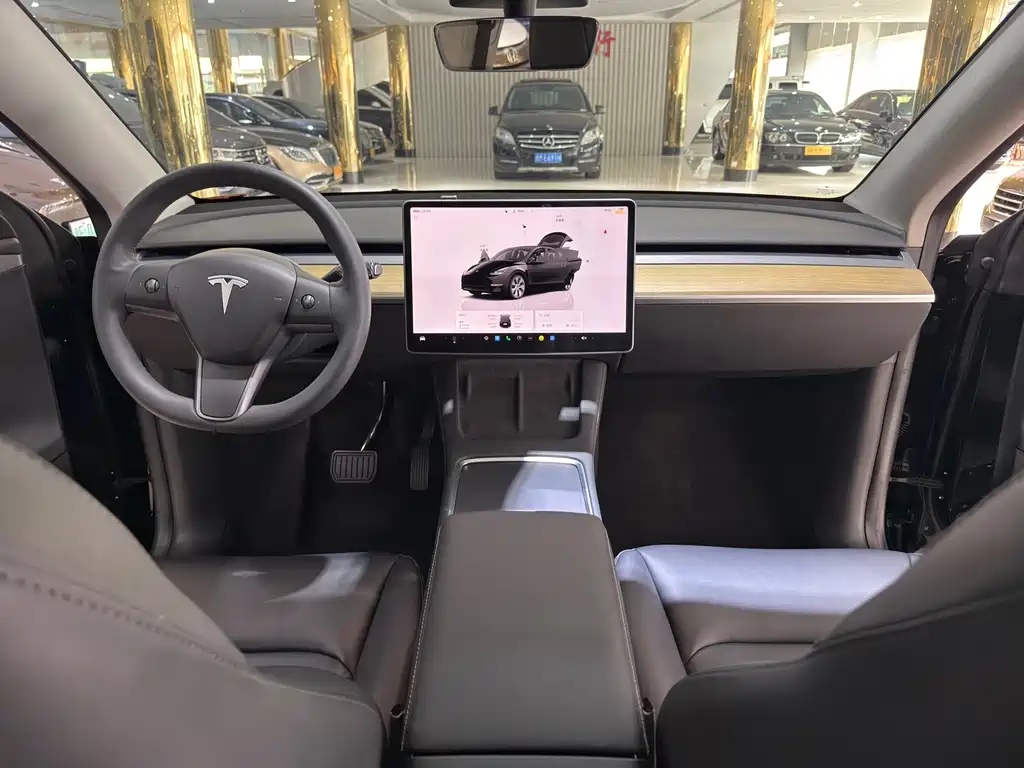 Tesla Model Y — миниатюра 12