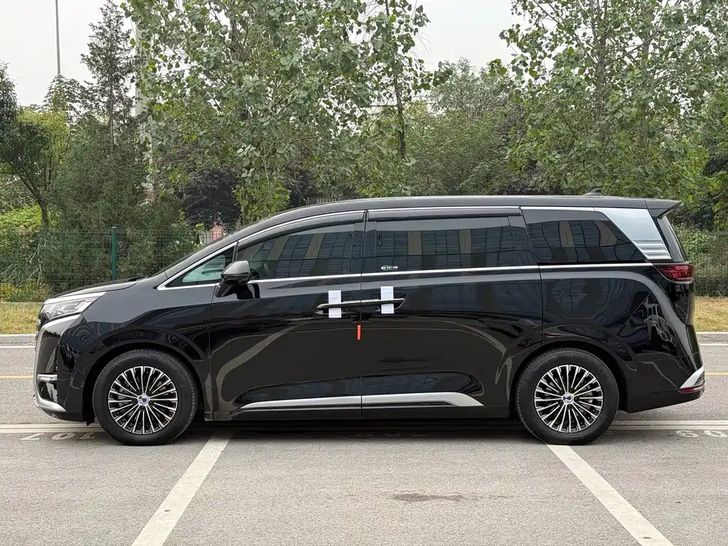 Denza Denza D9 — миниатюра 10