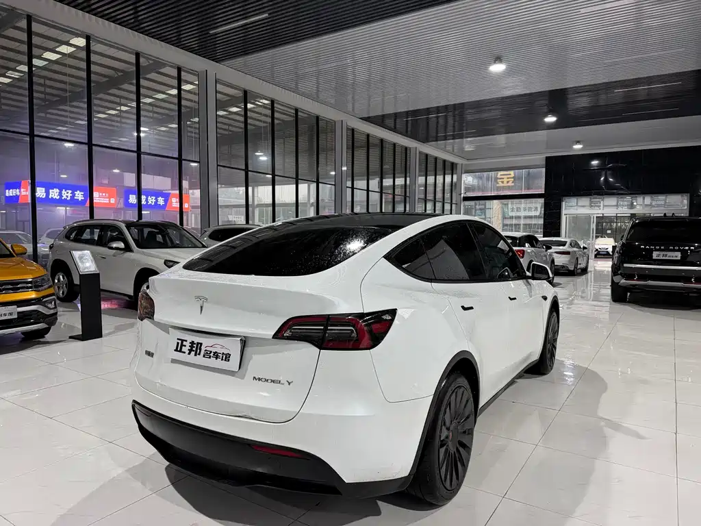 Tesla Model Y — миниатюра 5