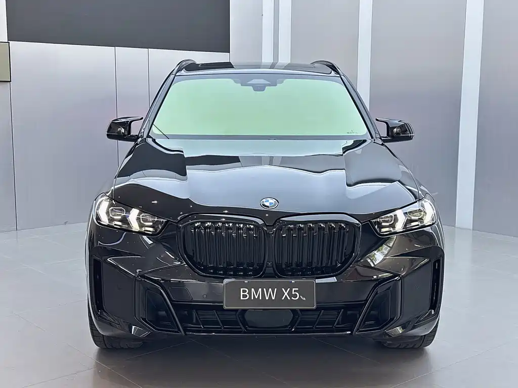 BMW X5 — миниатюра 2