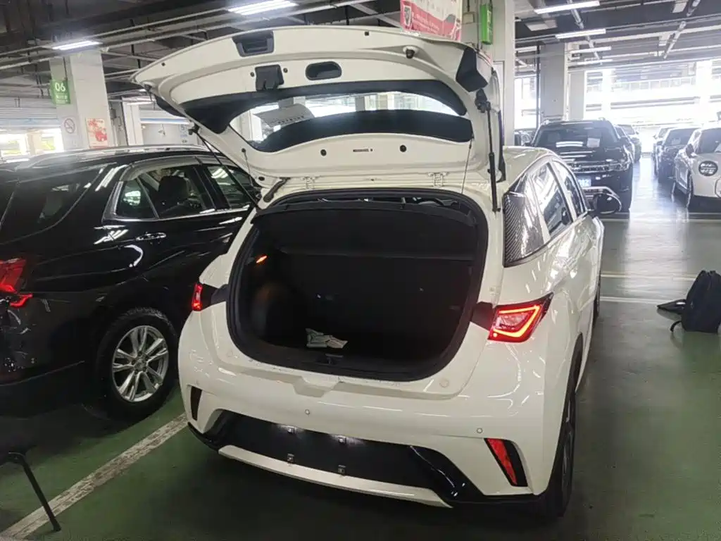 BYD Dolphin — миниатюра 19