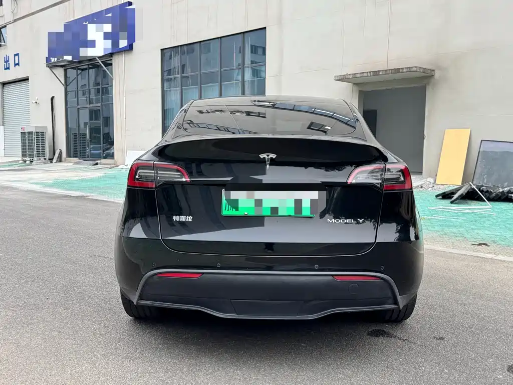 Tesla Model Y — миниатюра 11