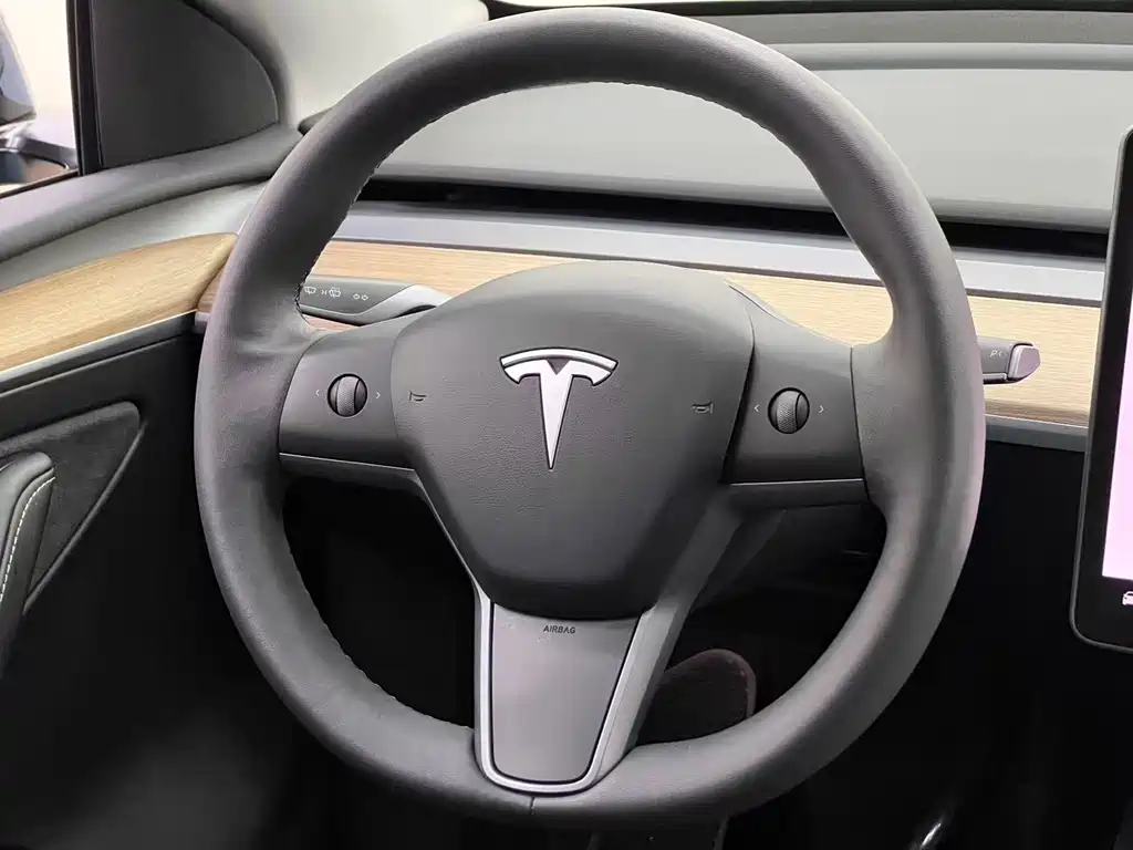 Tesla Model Y — миниатюра 19