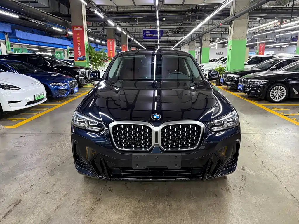 BMW X4 — миниатюра 3