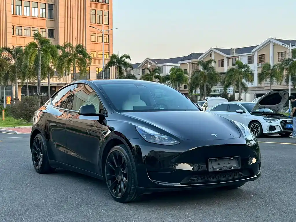 Tesla Model Y — миниатюра 3