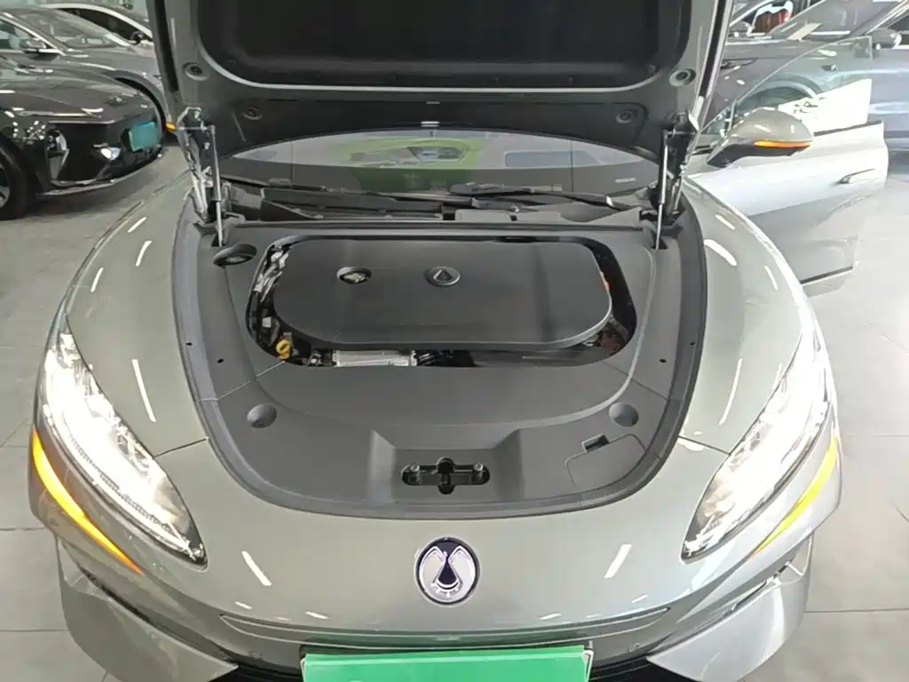 Denza Denza Z9GT — миниатюра 20
