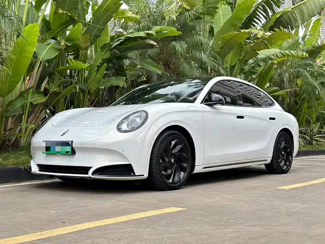 EULER  LIGHTNING CAT 2024