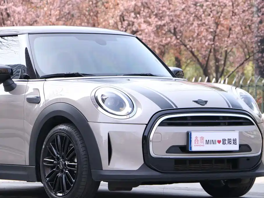 MINI Mini — миниатюра 15