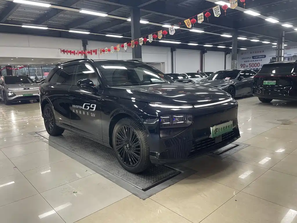 XPeng G9 — миниатюра 3