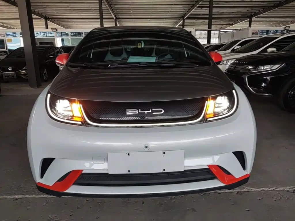 BYD Dolphin — миниатюра 3