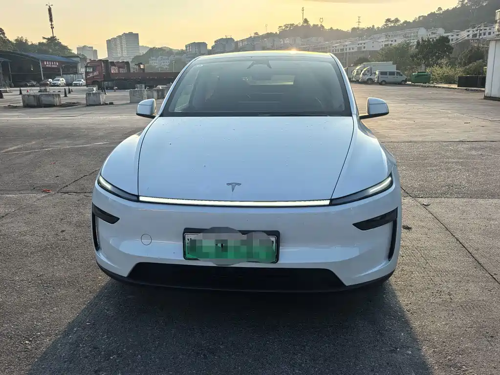 Tesla Model Y — миниатюра 2