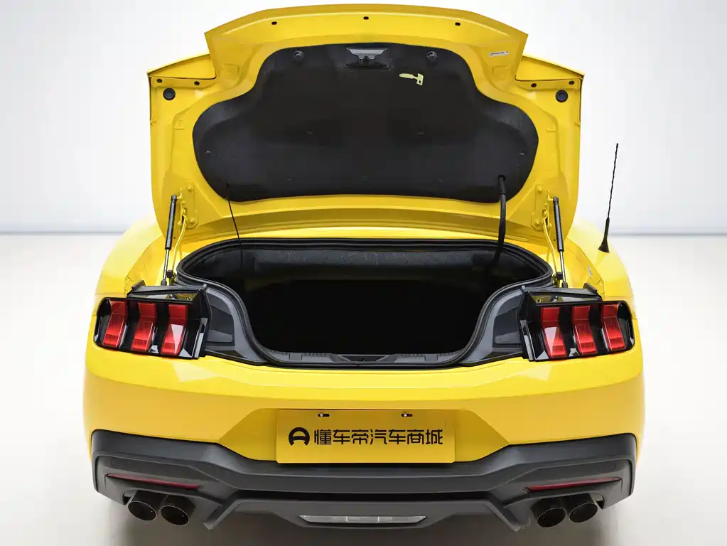 Ford Mustang — миниатюра 10