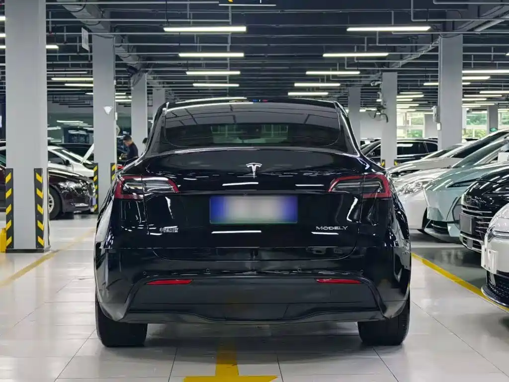 Tesla Model Y — миниатюра 6