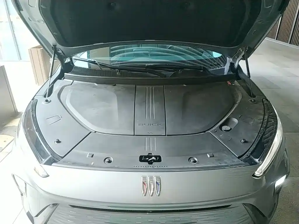 Buick E5 — миниатюра 20