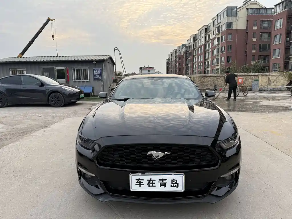 Ford Mustang — миниатюра 2