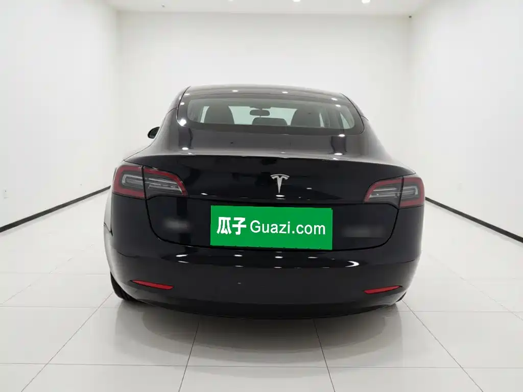 Tesla Model 3 — миниатюра 3