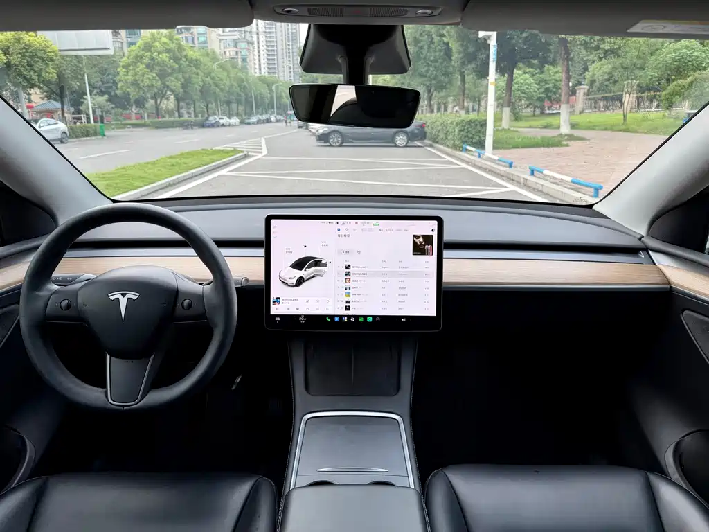 Tesla Model Y — миниатюра 10