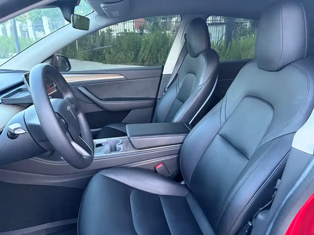 Tesla Model Y — миниатюра 7