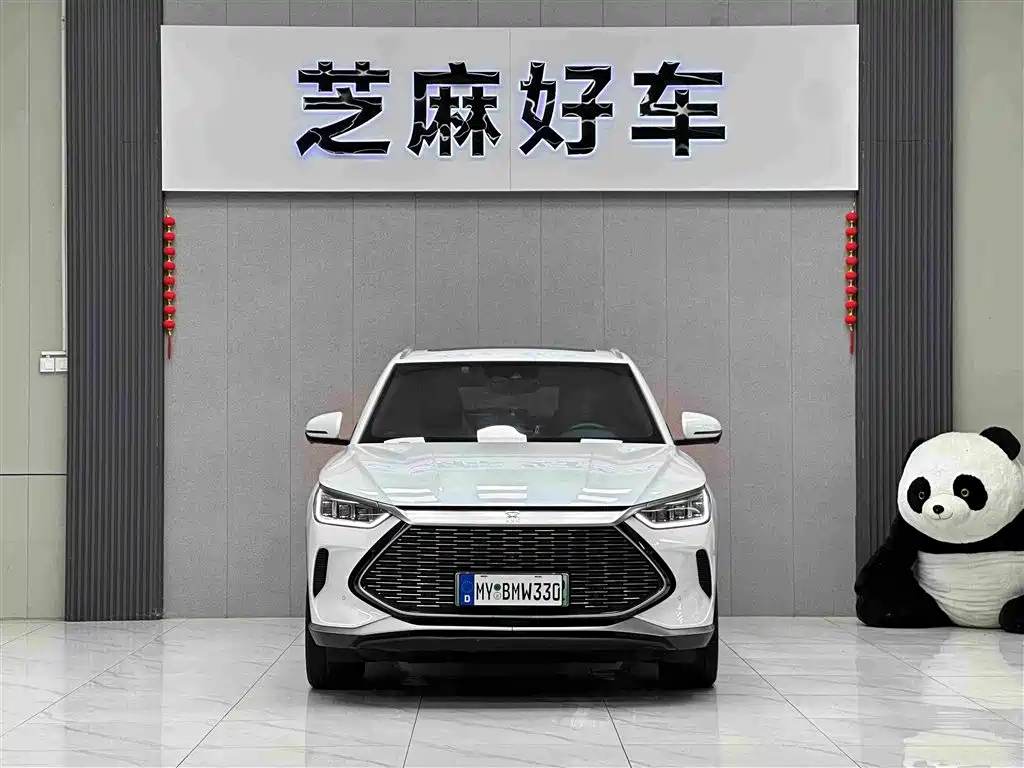 BYD PLUS New Energy — миниатюра 2