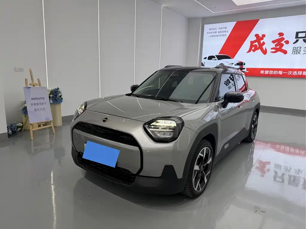 MINI MINI ACEMAN EV