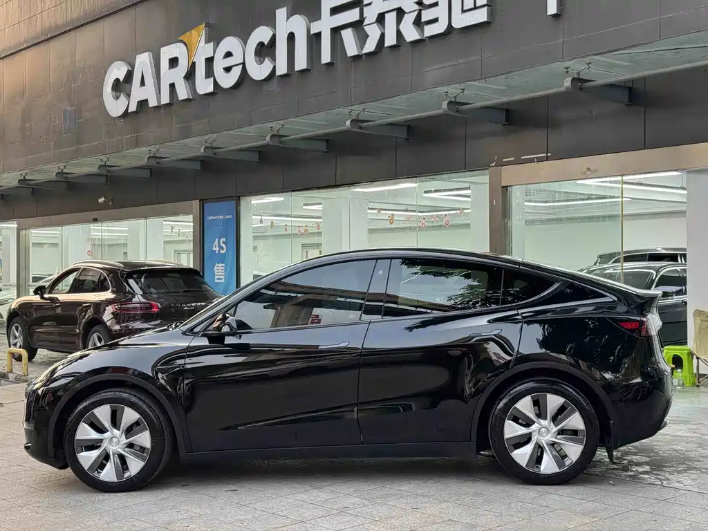 Tesla Model Y — миниатюра 2