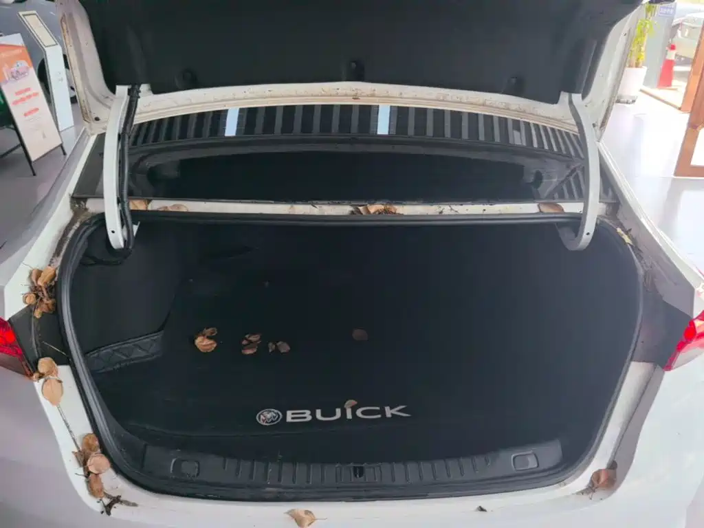 Buick Verano — миниатюра 19