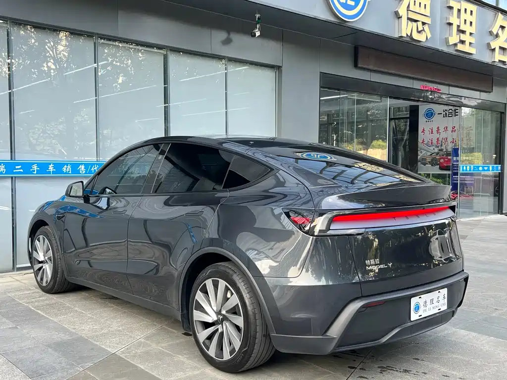 Tesla Model Y — миниатюра 14