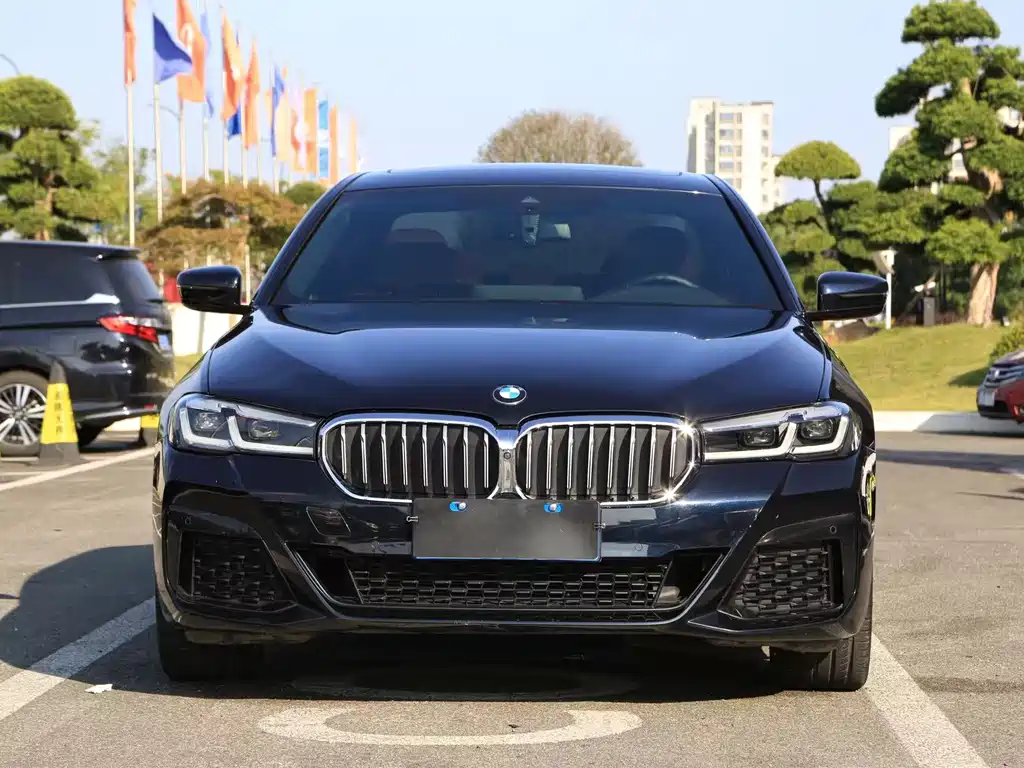 BMW 5 Series — миниатюра 2