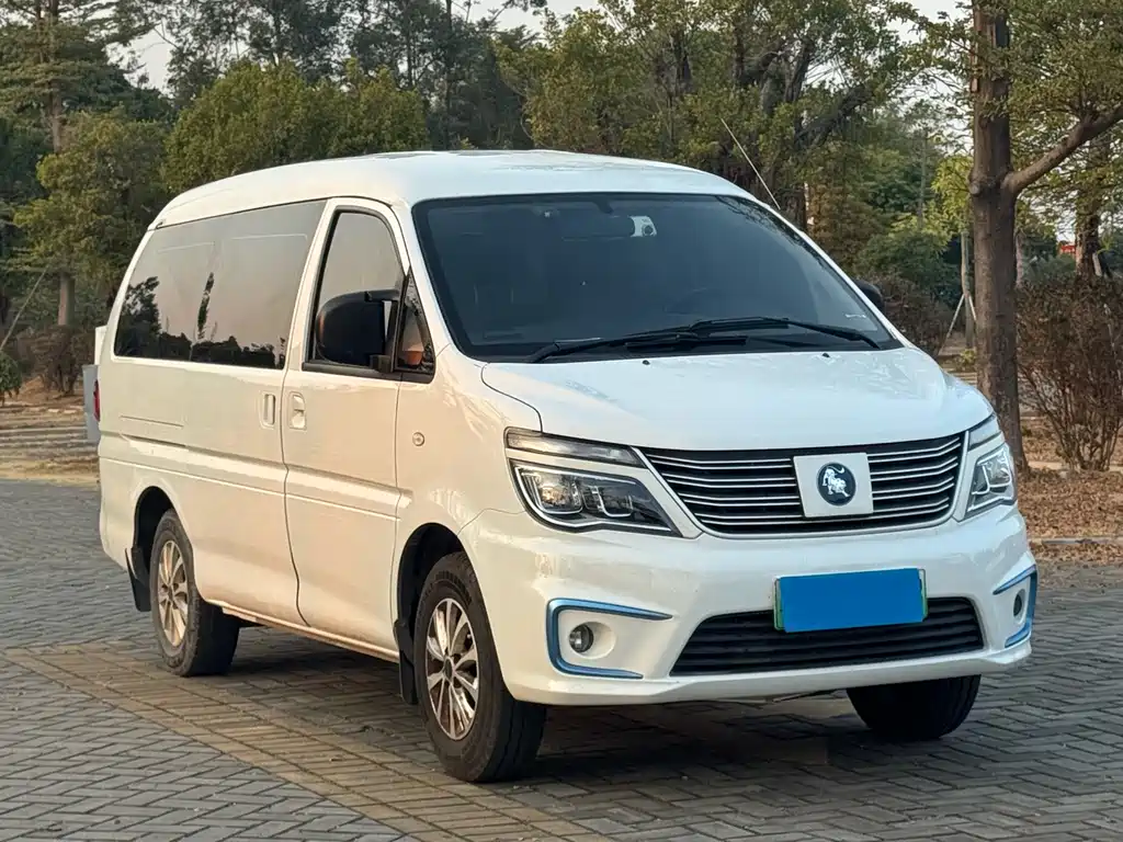 DONGFENG LINGZHI NEW ENERGY