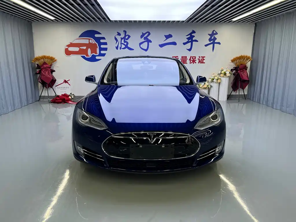 Tesla Model S — миниатюра 2