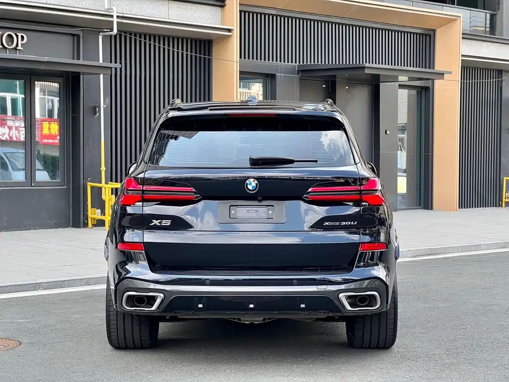 BMW X5 — миниатюра 6