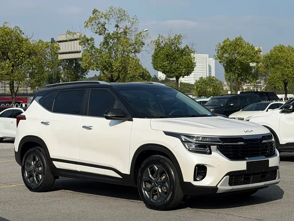 Kia Seltos — миниатюра 2
