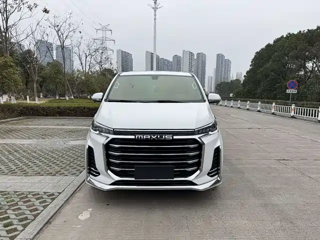 Maxus G20