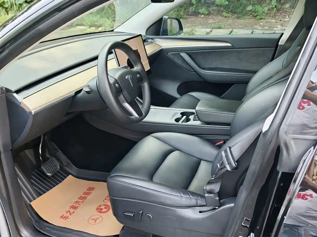 Tesla Model Y — миниатюра 10