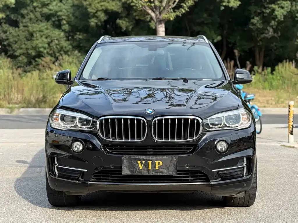 BMW X5 (Import) — миниатюра 2