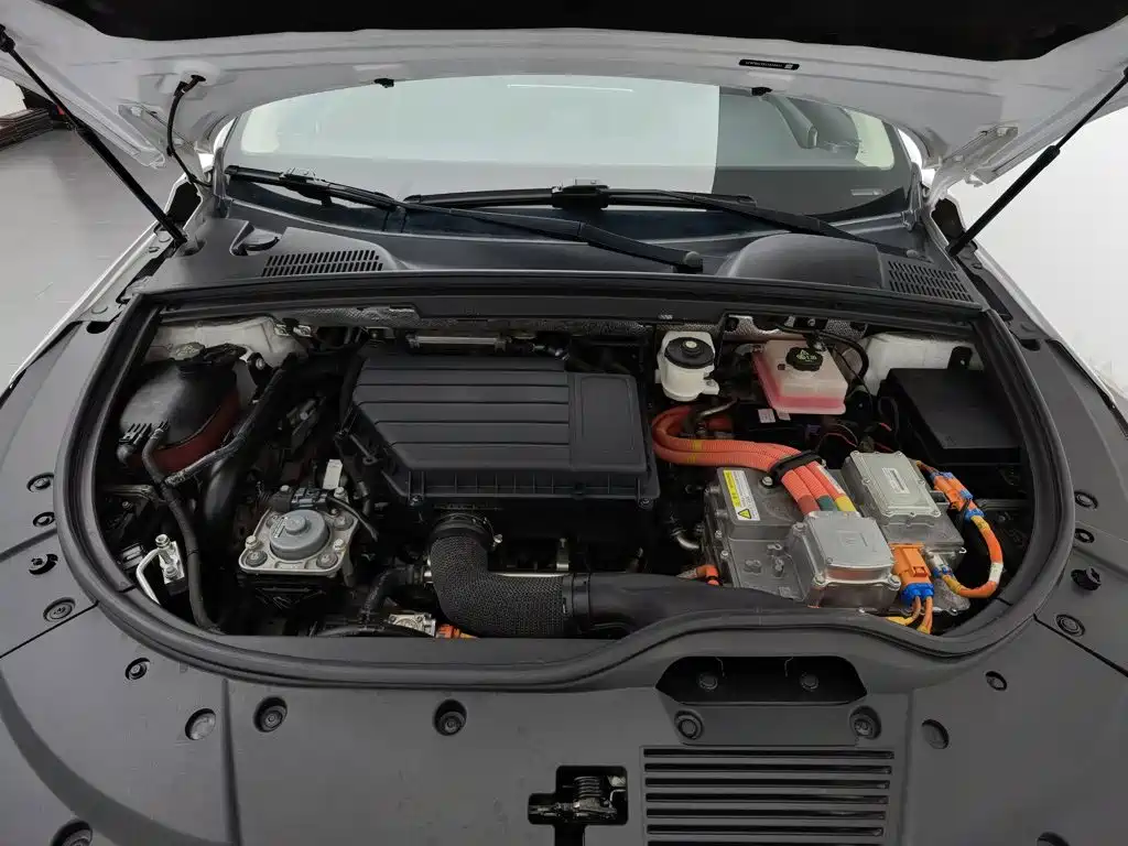 BYD Tang New Energy — миниатюра 6