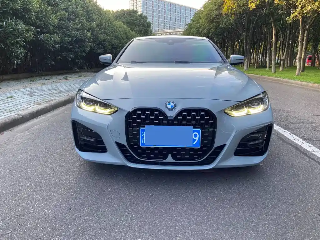 BMW 4 Series — миниатюра 2