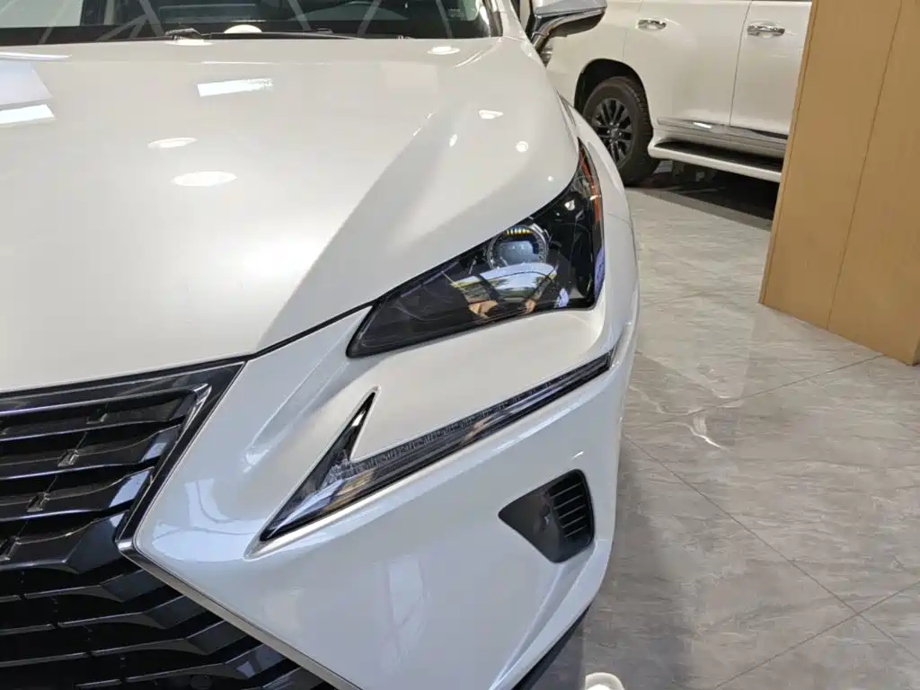 Lexus NX — миниатюра 18