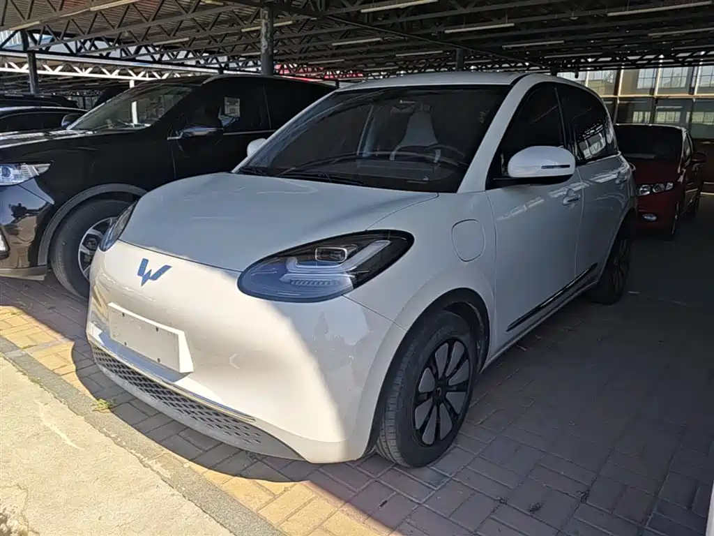 Wuling Bingo 2024