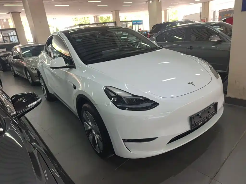 Tesla Model Y — миниатюра 4