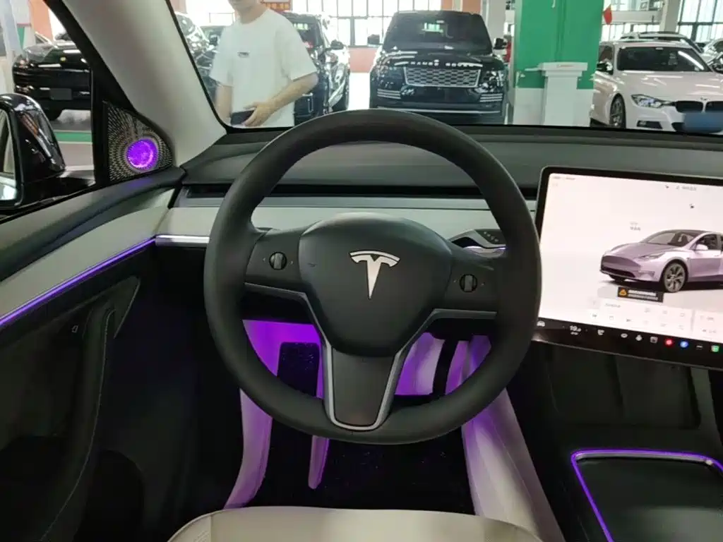 Tesla Model Y — миниатюра 11